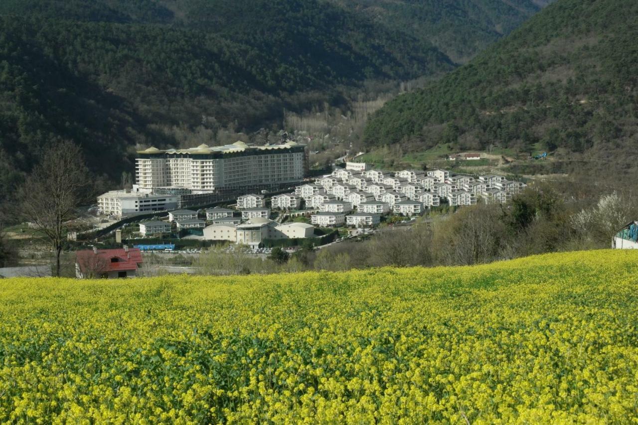Sarot Thermal Vadi Tatil Koyu - Halal Hotel Bolu Dış mekan fotoğraf